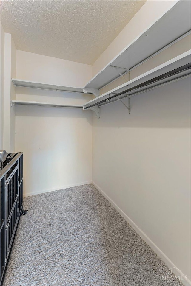 541 Davis Rd Unit 8, Pierce Twp, OH 45255 - spacious closet with carpet
