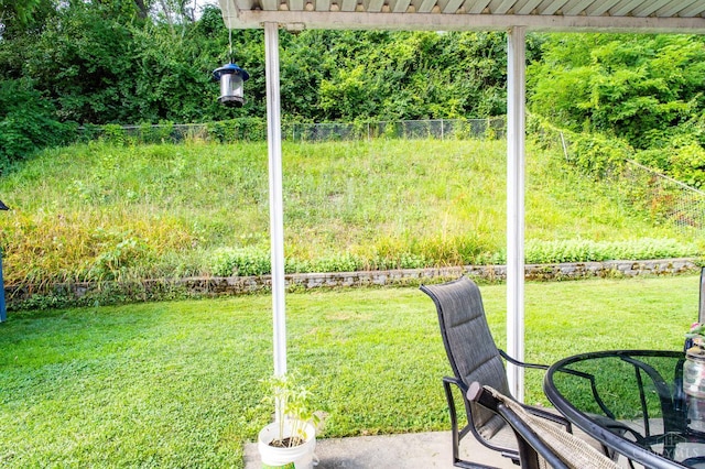 4321 Delhi, Delhi Twp, OH 45238 - view of yard