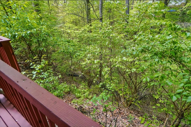 1368 Shawnee Run Dr, Hamilton Twp, OH 45039 - photo 58