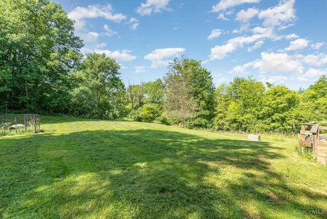 11818 Cloverlick Rd, Bethel, OH 45106 - view of green lawn with a view of trees