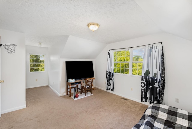 11818 Cloverlick Rd, Bethel, OH 45106 - exercise area with vaulted ceiling, carpet floors, and a textured ceiling