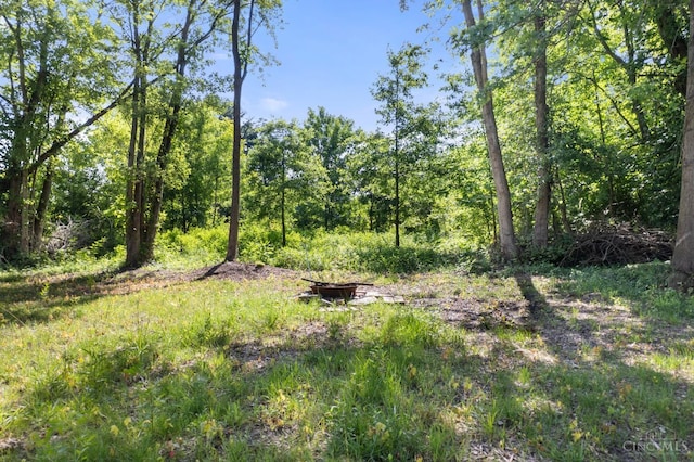340 N E St, Bethel, OH 45106 - view of undeveloped land
