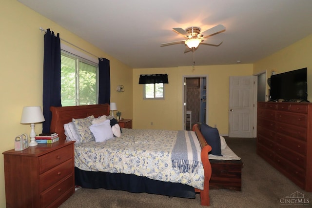416 N Broadway St, Blanchester, OH 45107 - bedroom with carpet floors, a spacious closet, and a ceiling fan