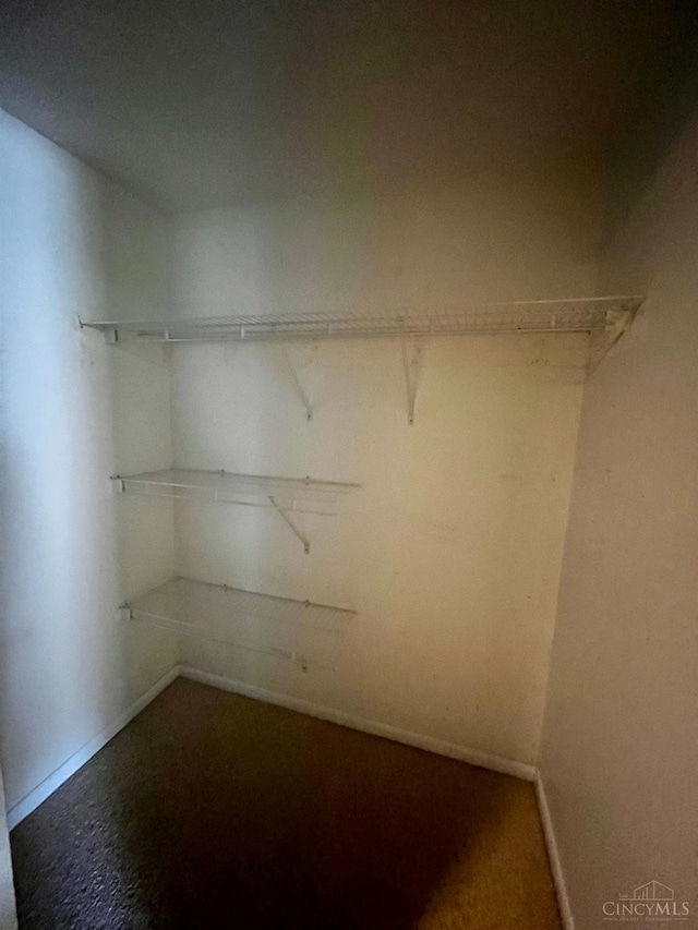 5674 Windsong Ln, Milford, OH 45150 - view of walk in closet