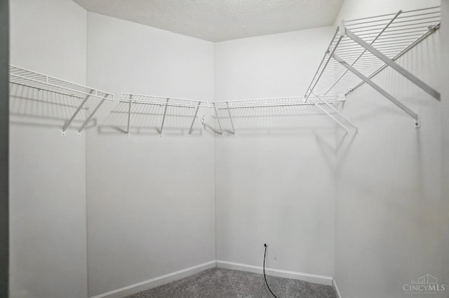 1300 Muirfield, Miami Twp, OH 45150 - walk in closet with carpet flooring