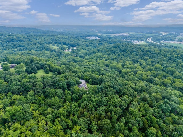10869 Sand Run Rd, Whitewater Twp, OH 45030 - drone / aerial view of a forest