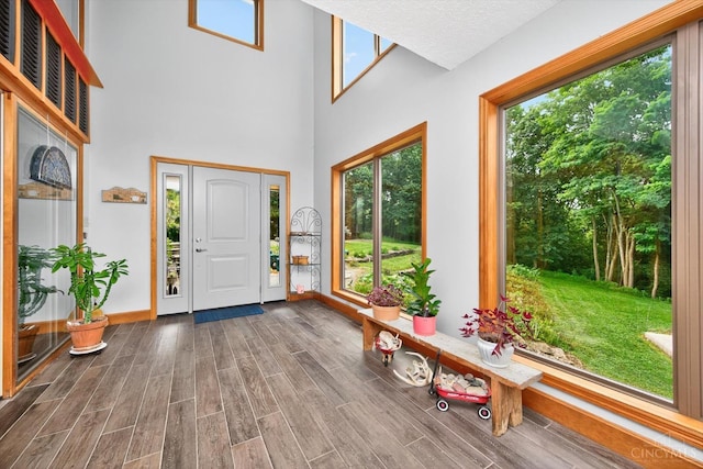 10869 Sand Run Rd, Whitewater Twp, OH 45030 - entrance foyer featuring wood finished floors and a towering ceiling
