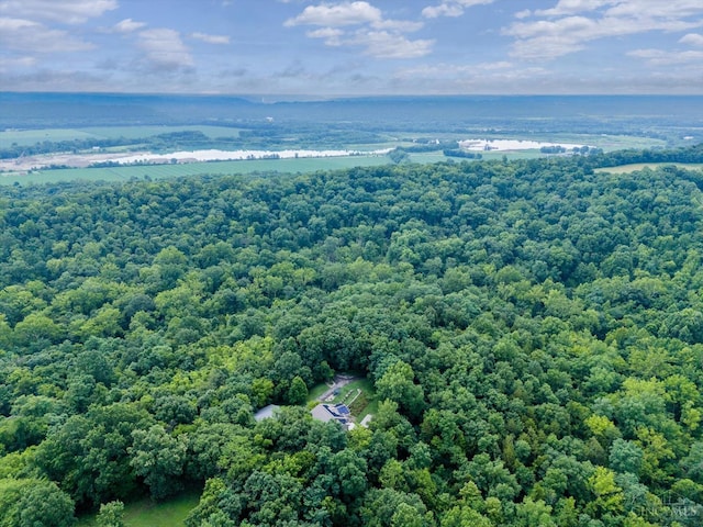 10869 Sand Run Rd, Whitewater Twp, OH 45030 - drone / aerial view of a forest