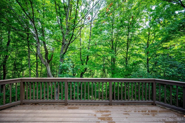 6350 Trailridge Ct, Miami Twp, OH 45140 - photo 41