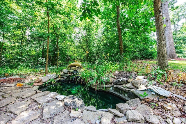 799 Millville Oxford Rd, Hamilton, OH 45013 - view of local wilderness