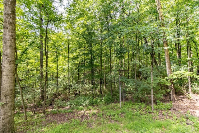 11507 Applejack Ct, Symmes Twp, OH 45249 - photo 40