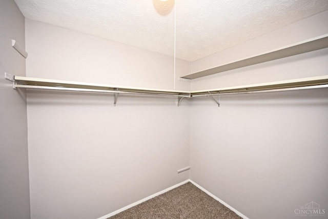 4296 Moselle Dr, Liberty Twp, OH 45011 - photo 29