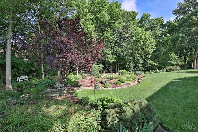 8227 Bent Tree Dr, West Chester, OH 45069 - photo 53