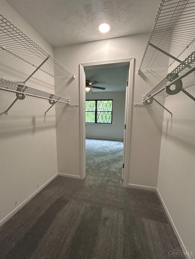 5658 Springdale Rd Unit 10, Colerain Twp, OH 45251 - photo 18