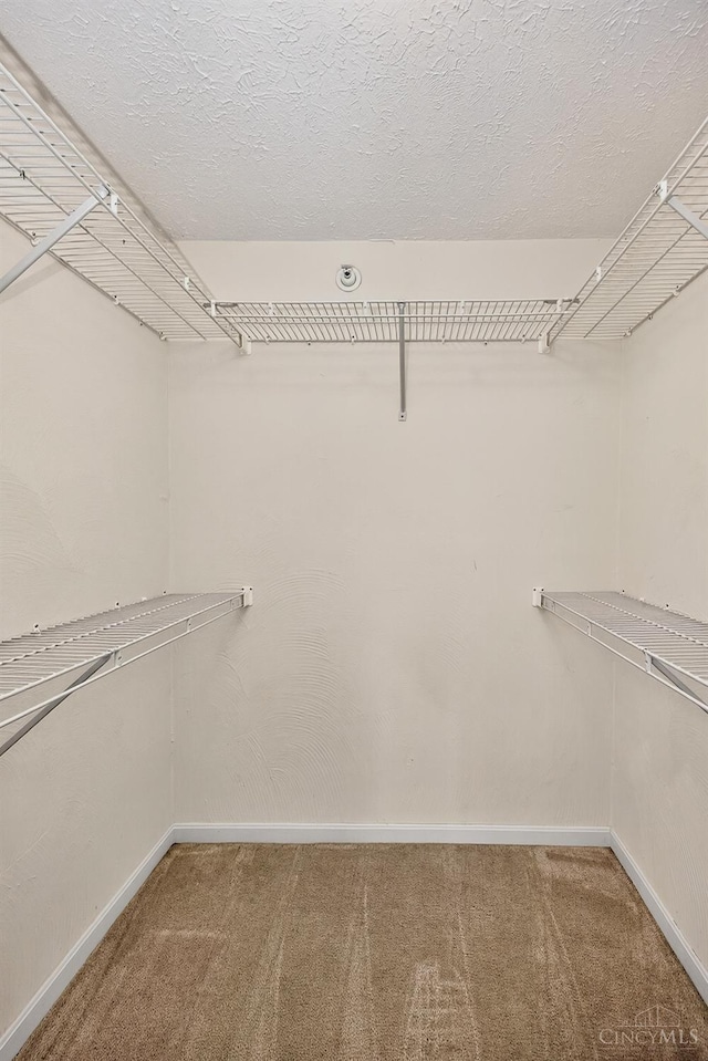 3131 Preserve Ln Unit 2C, Colerain Twp, OH 45239 - photo 10