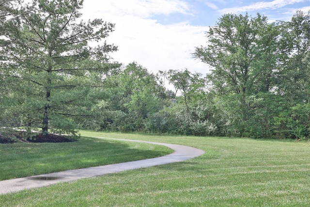 3351 Babson Ct, Middletown, OH 45005 - photo 79