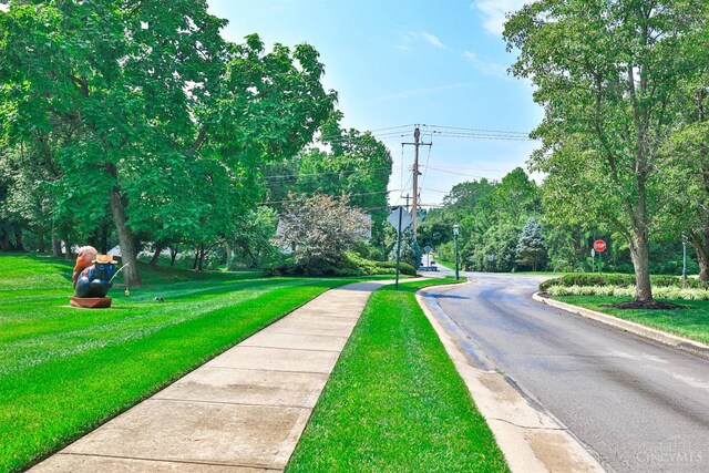 3 Thomas Ct, Glendale, OH 45246 - photo 53