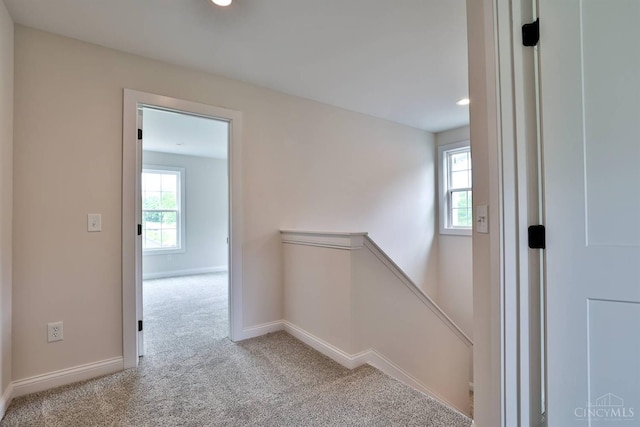 2339 Grimes Valley Dr, West Harrison, IN 47060 - photo 30