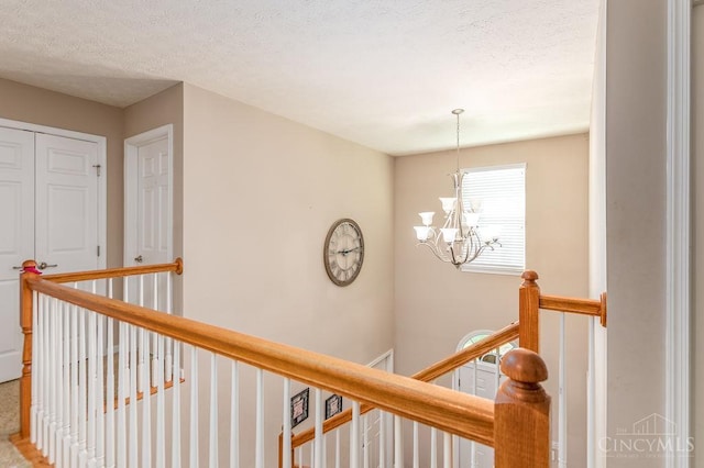 1132 Hayward Cir, Miami Twp, OH 45150 - photo 31