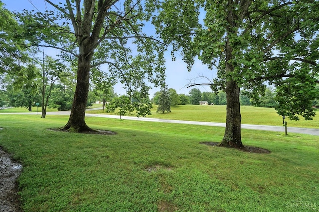 2 Lone Star Dr, Jackson Twp, OH 45171 - photo 65