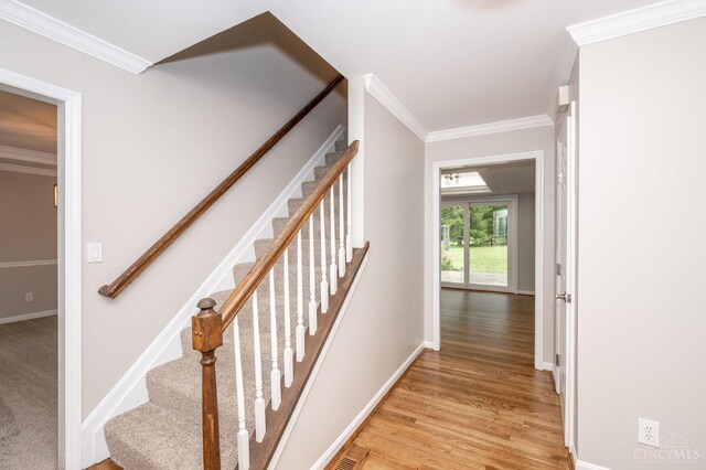 708 Miami View Ct, Miami Twp, OH 45140 - photo 9