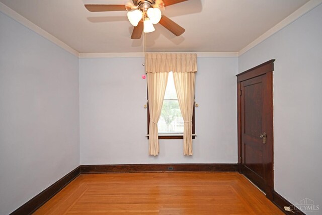 3430 Alta Vista Ave, Cheviot, OH 45211 - photo 40