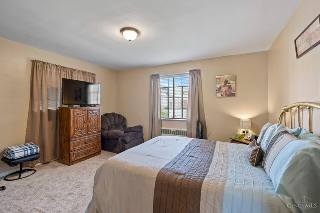 3707 Wilmar Dr, Cheviot, OH 45211 - photo 29