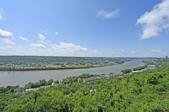 1617 E Mcmillan St Unit 502, Cincinnati, OH 45206 - photo 29