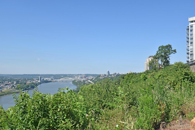 1617 E Mcmillan St Unit 502, Cincinnati, OH 45206 - photo 39