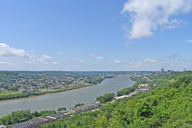 1617 E Mcmillan St Unit 502, Cincinnati, OH 45206 - photo 28