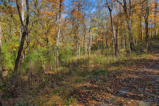 7167 Goshen Rd, Goshen Twp, OH 45122 - photo 14