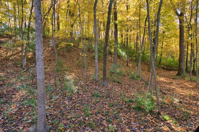7167 Goshen Rd, Goshen Twp, OH 45122 - photo 16