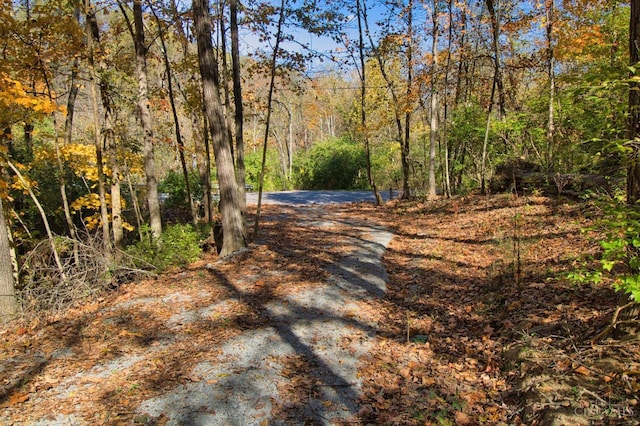 7167 Goshen Rd, Goshen Twp, OH 45122 - photo 25