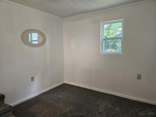422 Amelia Olive Branch Rd, Amelia, OH 45102 - photo 20