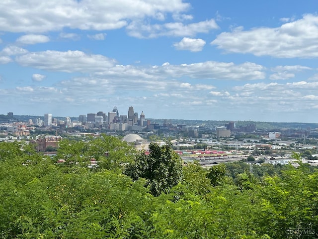 2691 Lehman Rd Unit B9, Cincinnati, OH 45204 - photo 2