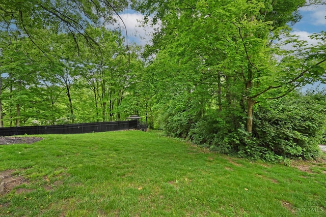 4190 Beech St, Columbia Twp, OH 45227 - photo 48