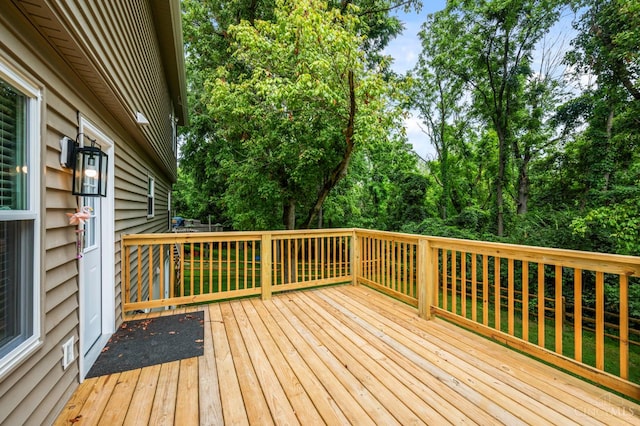 3800 Spring Mill Way, Deerfield Twp, OH 45039 - photo 17