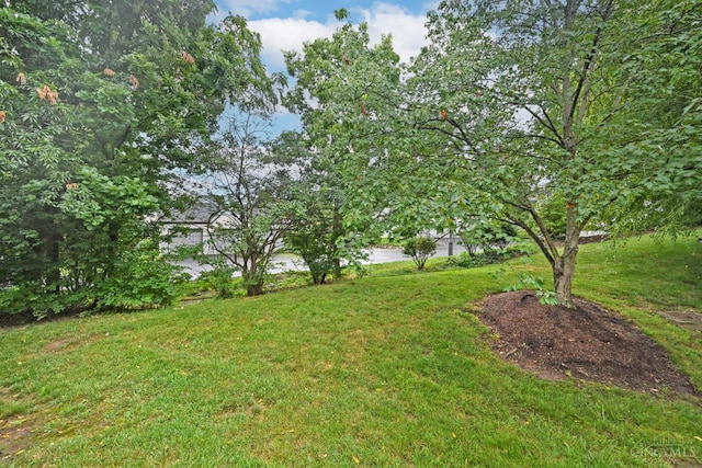 8847 Montgomery Rd, Sycamore Twp, OH 45236 - photo 59