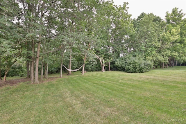 4843 Hampton Village Dr, Mason, OH 45040 - photo 39