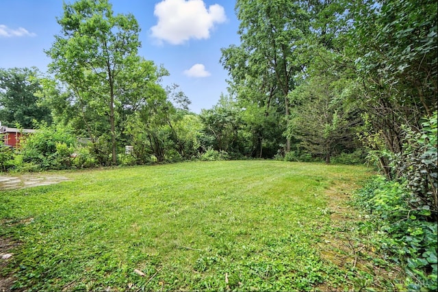 3068 Jackfrost Way, Cincinnati, OH 45251 - photo 26
