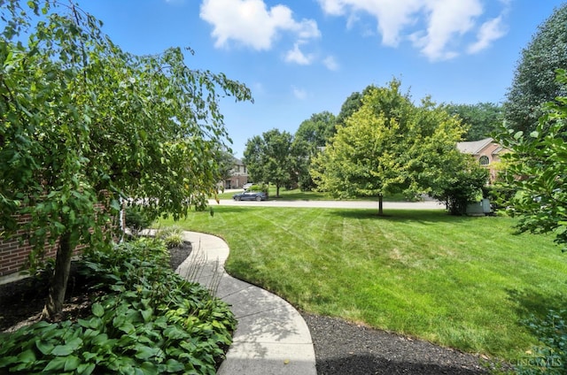 6578 Caddies Way, Mason, OH 45040 - photo 6