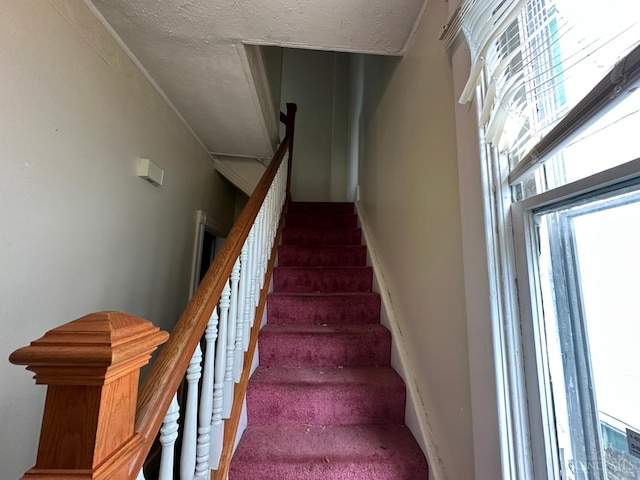 8442 Anthony Wayne Ave, Cincinnati, OH 45216 - photo 32