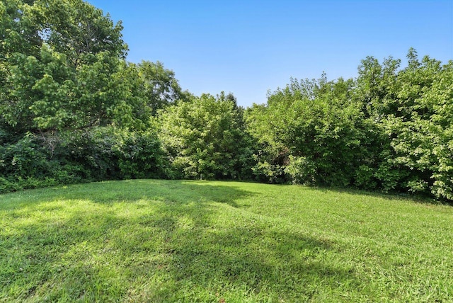 36 Timberline Ct, Cleves, OH 45002 - photo 34