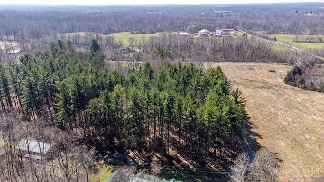 3750 Starling Rd, Tate Twp, OH 45106 - photo 41