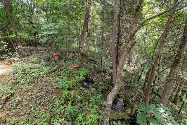 1011 Hafer Rd, West Union, OH 45693 - photo 22