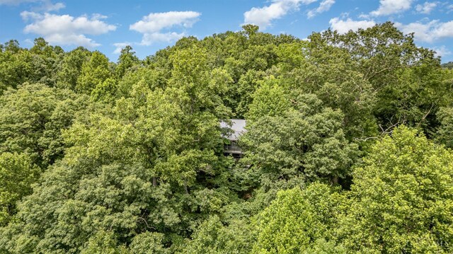 1011 Hafer Rd, West Union, OH 45693 - photo 26