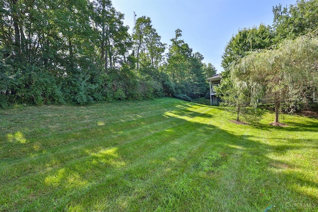 685 Bridle Path, Springfield Twp, OH 45231 - photo 29