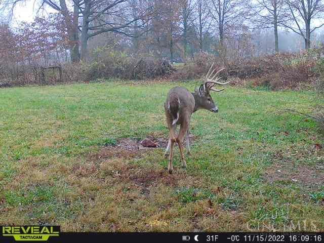 6388 Ludlum Rd, Salem Twp, OH 45152 - photo 44