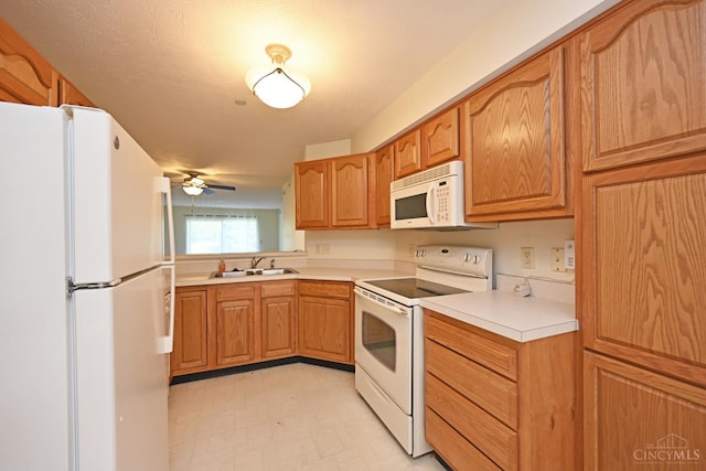 6815 Cloudscape Way, Hamilton Twp, OH 45039 - photo 10