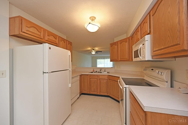 6815 Cloudscape Way, Hamilton Twp, OH 45039 - photo 11
